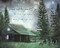 Into the Forest I Go Poster Print by Bluebird Barn Bluebird Barn - Item # VARPDXBLUE364